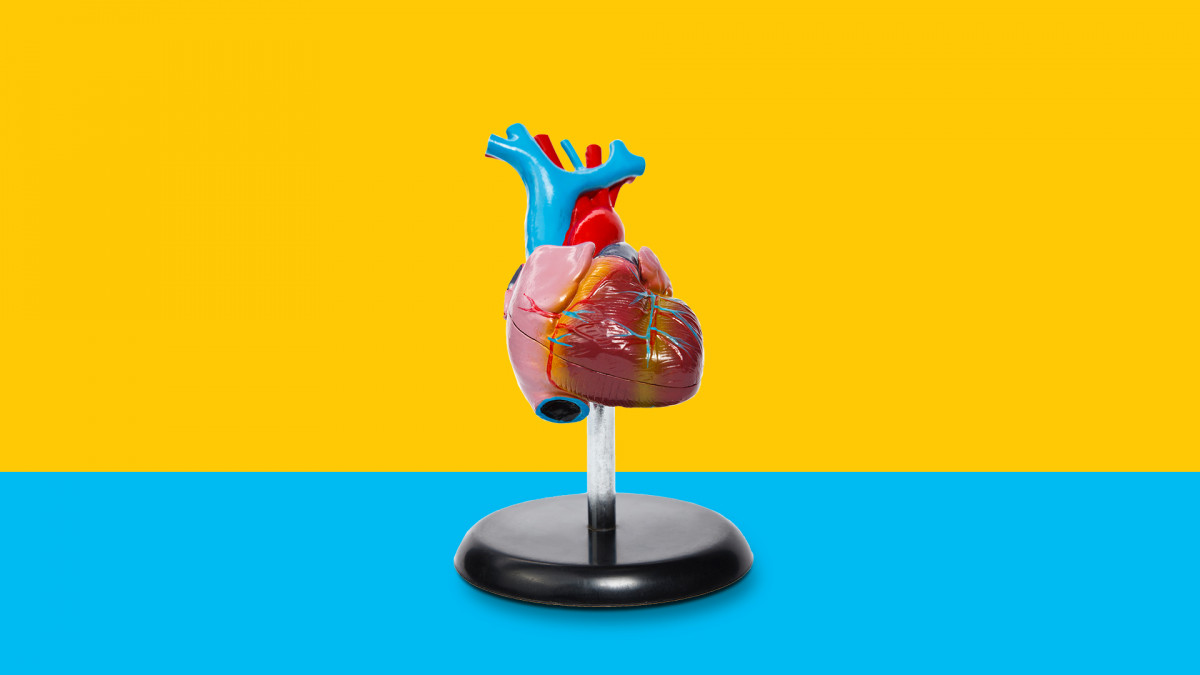 Blood thinners for AFib Health benefits and side effects