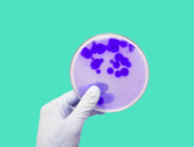 A petri dish represents antibiotics that cause C.Diff