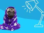A pug wrapped in a blanket represents seasonal affective disorder