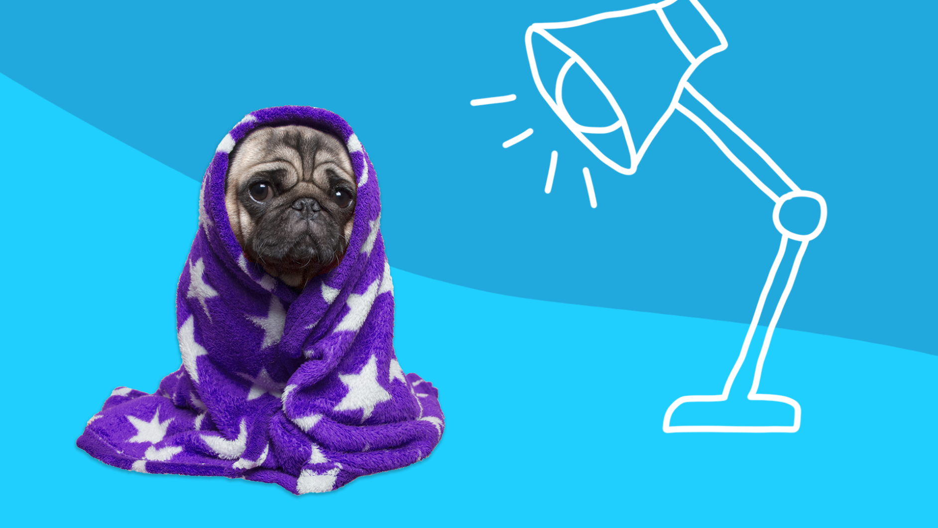 A pug wrapped in a blanket represents seasonal affective disorder