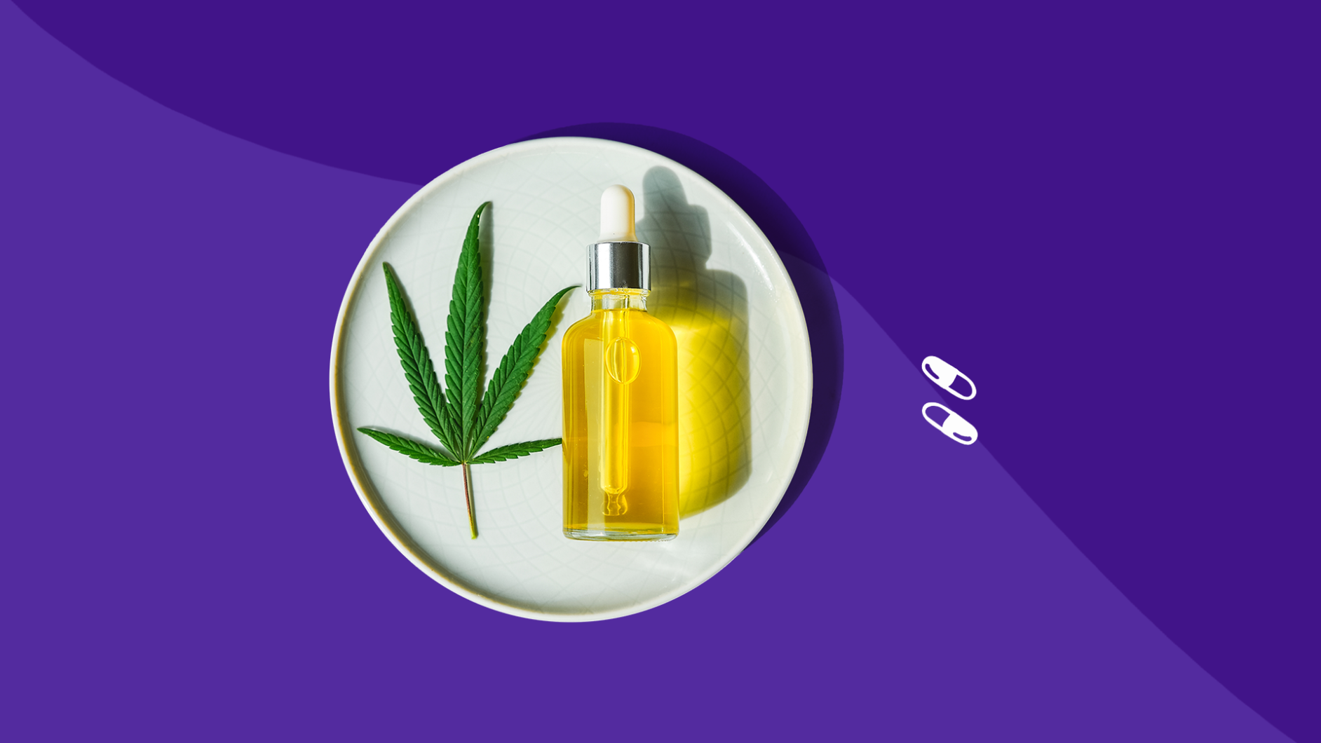 cannabis plant and CBD oil - what drugs should not be taken with cbd
