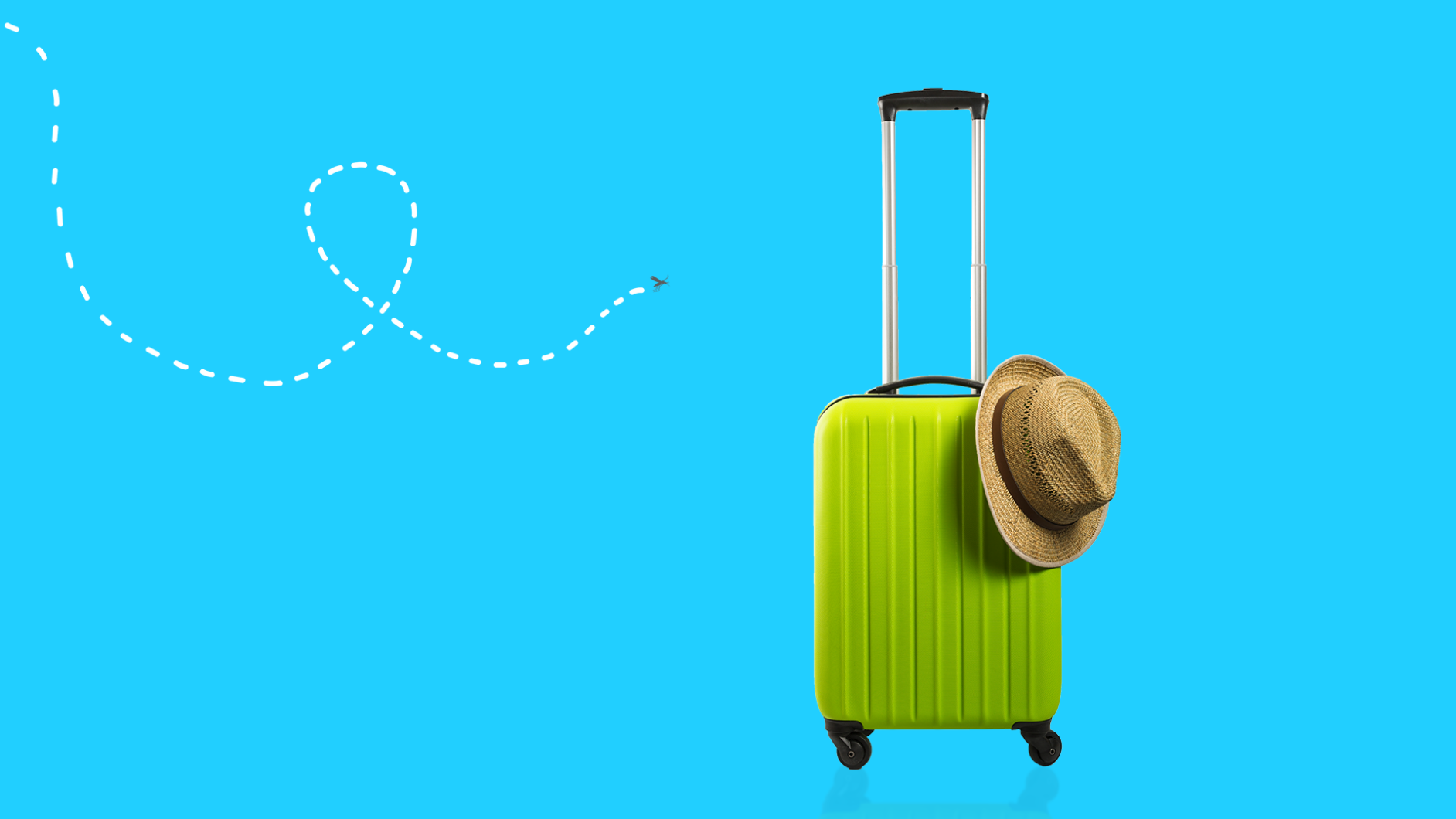 Malaria prevention - suitcase with mosquito