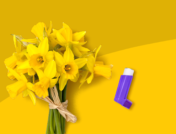 A bouquet of flowers and an inhaler represent asthma attack triggers
