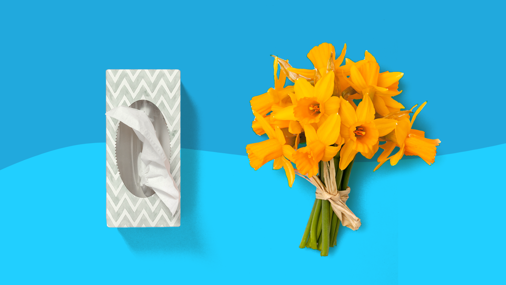 How to treat seasonal allergies based on your symptoms