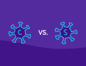 An illustration of coronavirus vs. SARS