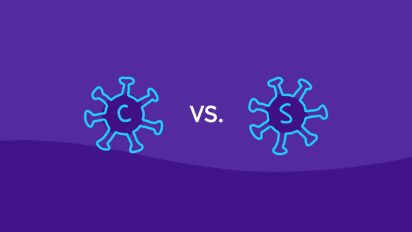 An illustration of coronavirus vs. SARS