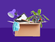 coronavirus survey daily lives