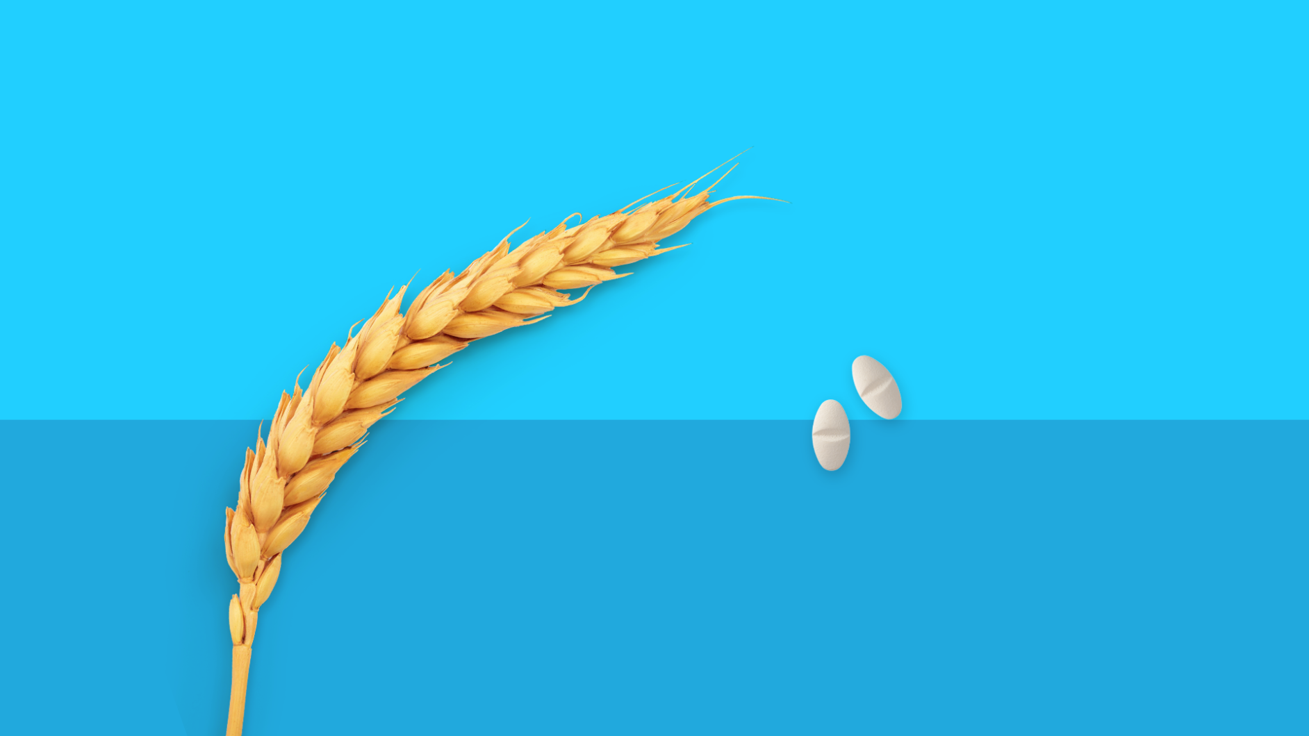 A piece of wheat and medications symbolize gluten-free drugs