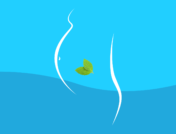 What can I take for nausea while pregnant? - mint