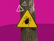 A tick on a warning sign represents Lyme disease symptoms