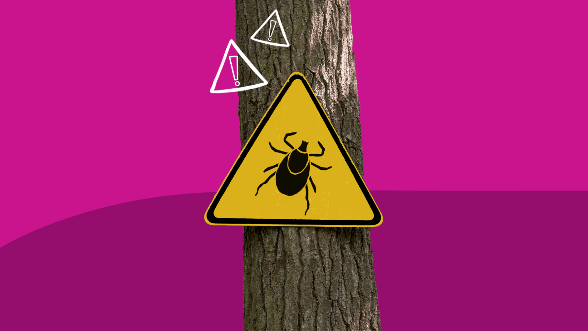 A tick on a warning sign represents Lyme disease symptoms