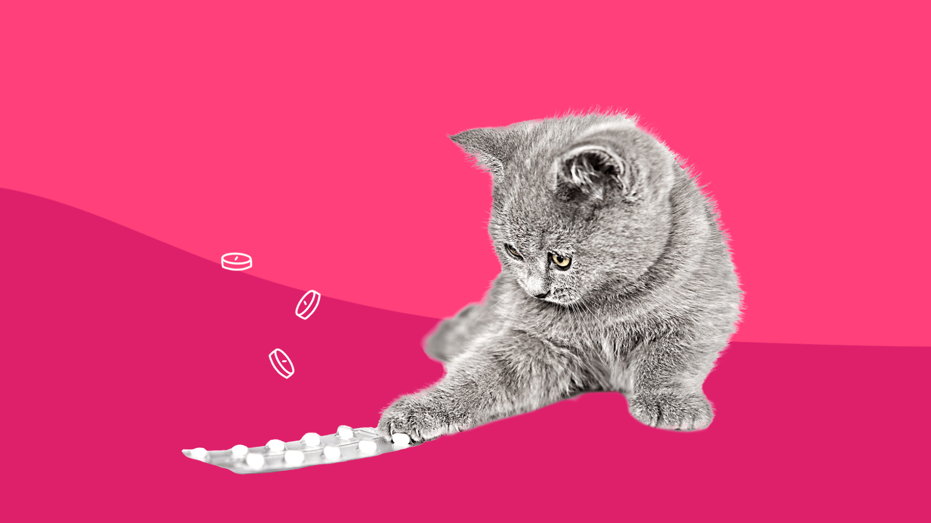 A cat with pills represents pet antibiotics