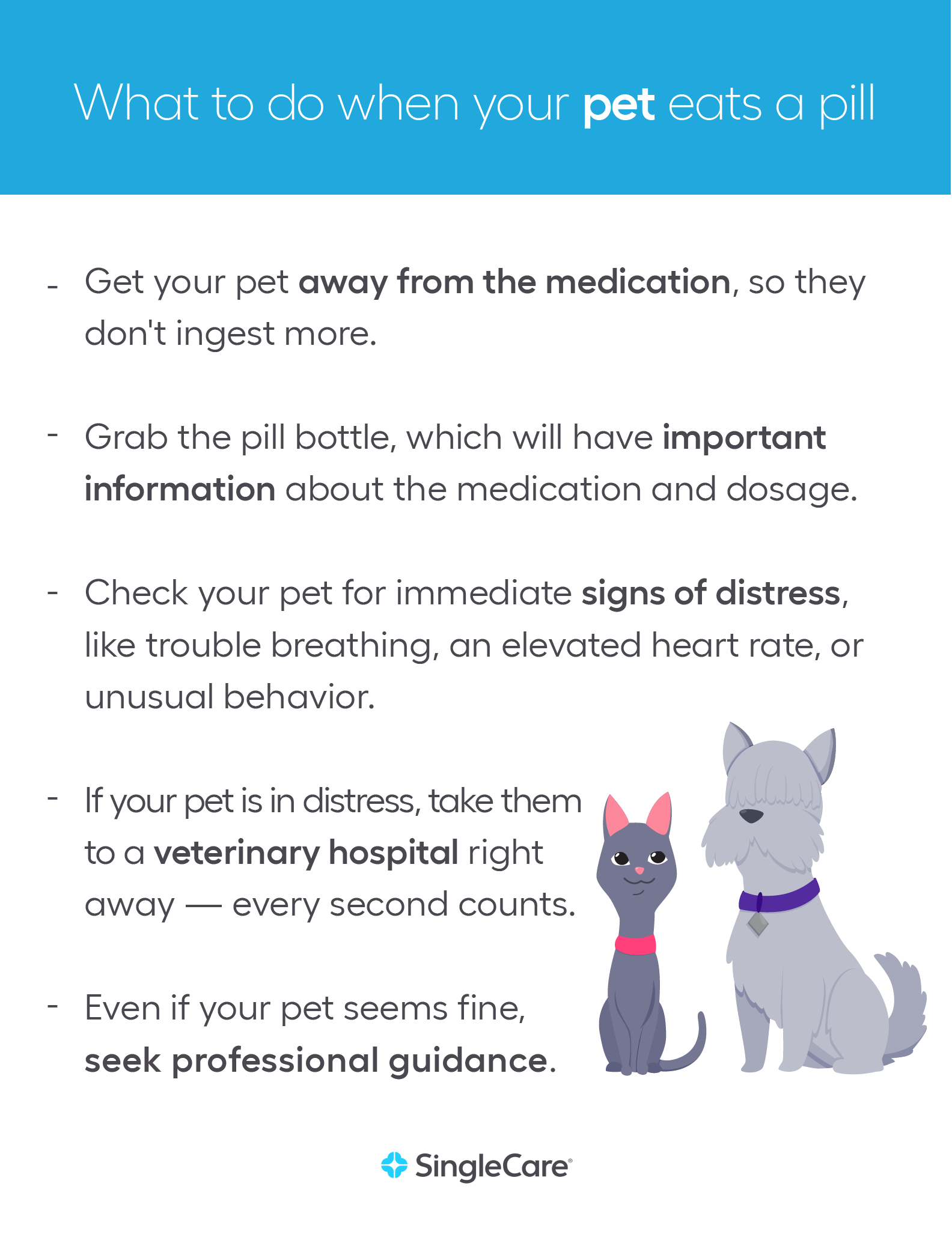 what to do if your pet ingests a pill