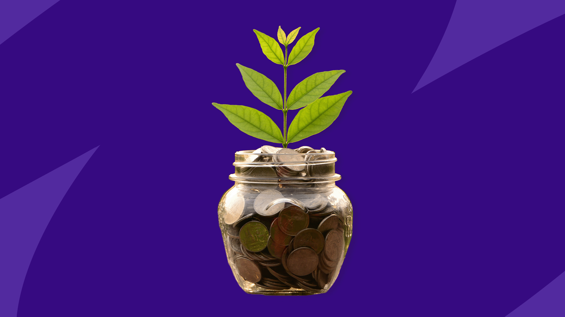 March SingleCare reviews