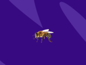 Bug bite relief - bee sting