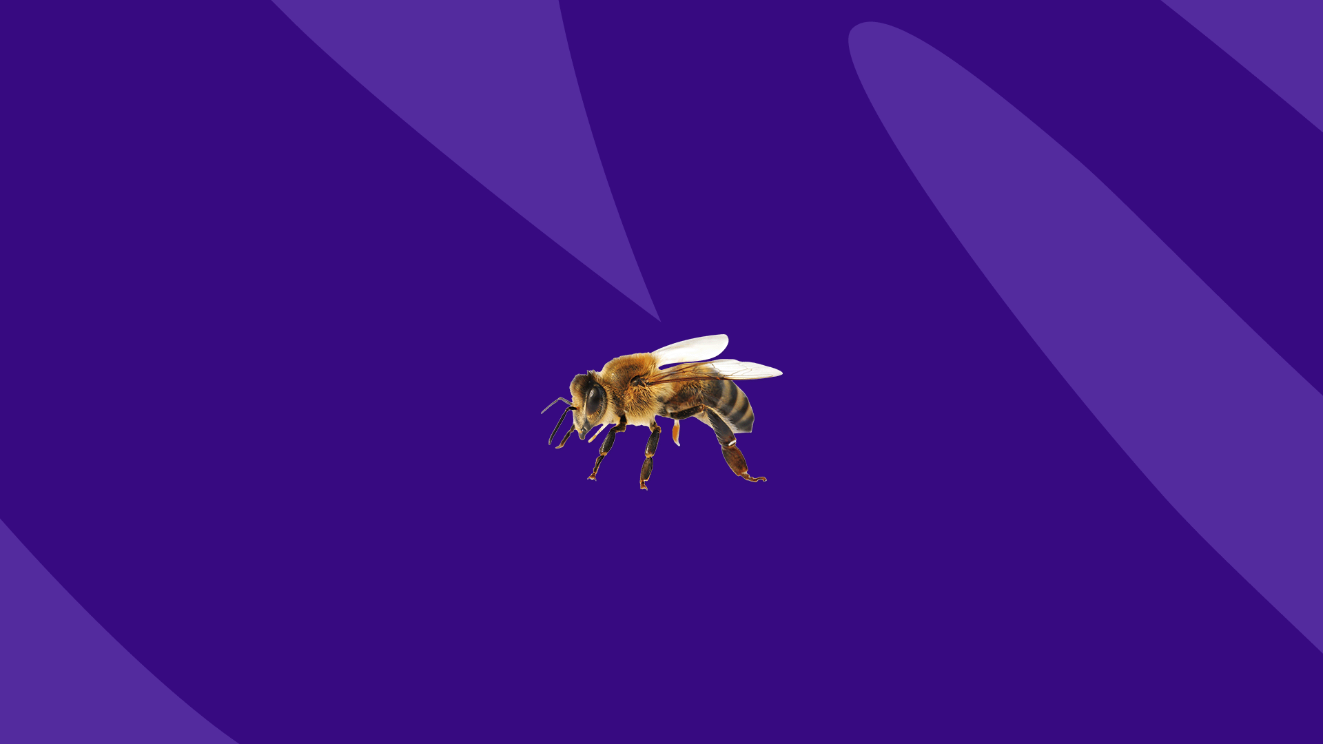 Bug bite relief - bee sting