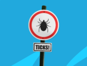 Tick sign - chronic Lyme disease symptoms
