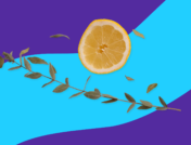 Natural remedies for ticks