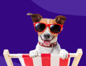 dog with sunglasses - dog sunscreen