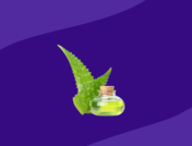 Aloe represents sunburn remedies