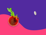 Bloody mary and medication - metronidazole and alcohol