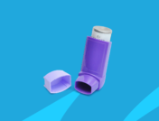 Rx inhaler: Pulmicort Flexhaler alternatives
