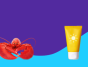 sunburn relief - a lobster and sunscreen bottle