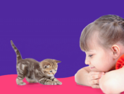 A girl with a kitten represents pet allergy medicine