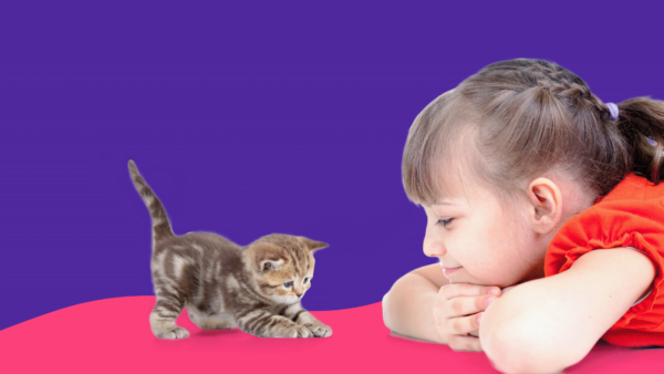 A girl with a kitten represents pet allergy medicine