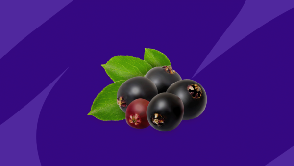 Elderberry benefits