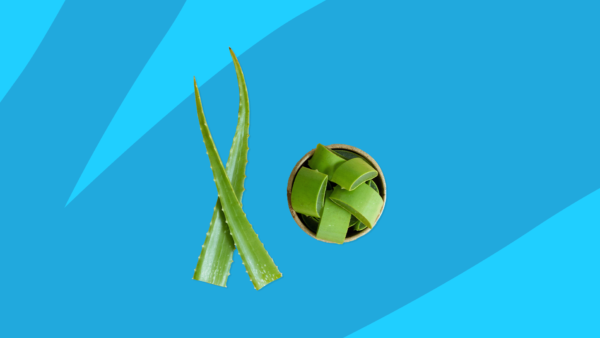 Aloe vera plant - sunburn itch