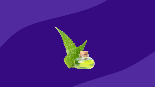 Aloe vera plant and aloe gel: Home remedies for burns