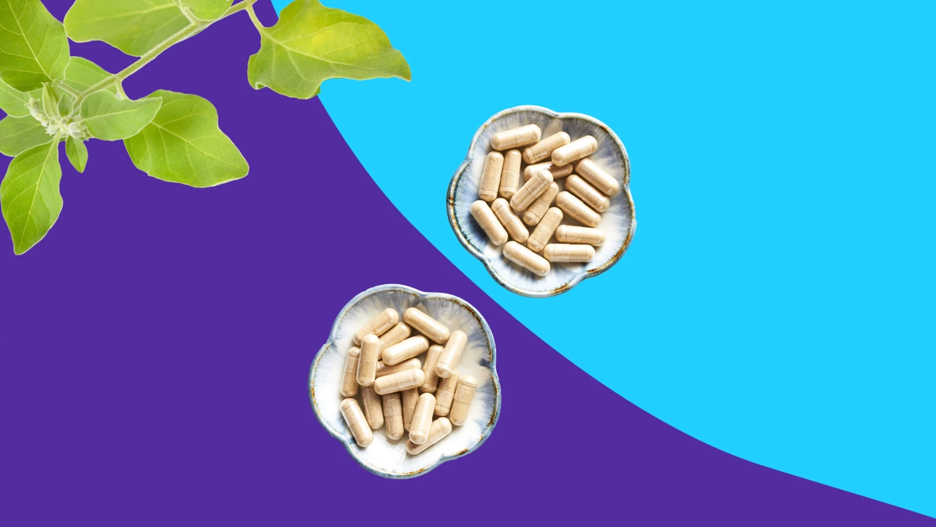 Ashwagandha pills - when is the best time to take them?