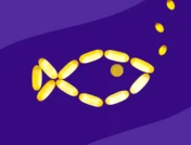 Fish oil capsules - best time to take fish oil