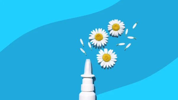 Nasal spray and daisies -can allergies cause sore throat