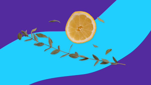 A cut lemon and some leaves: Lemon juice benefits