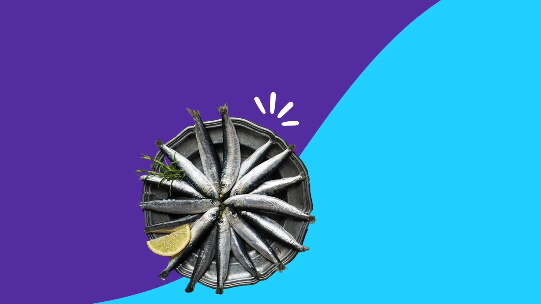 tin of sardines - sardines benefits