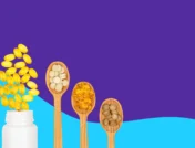 wooden spoons with vitamins - how long does it take for vitamins to work