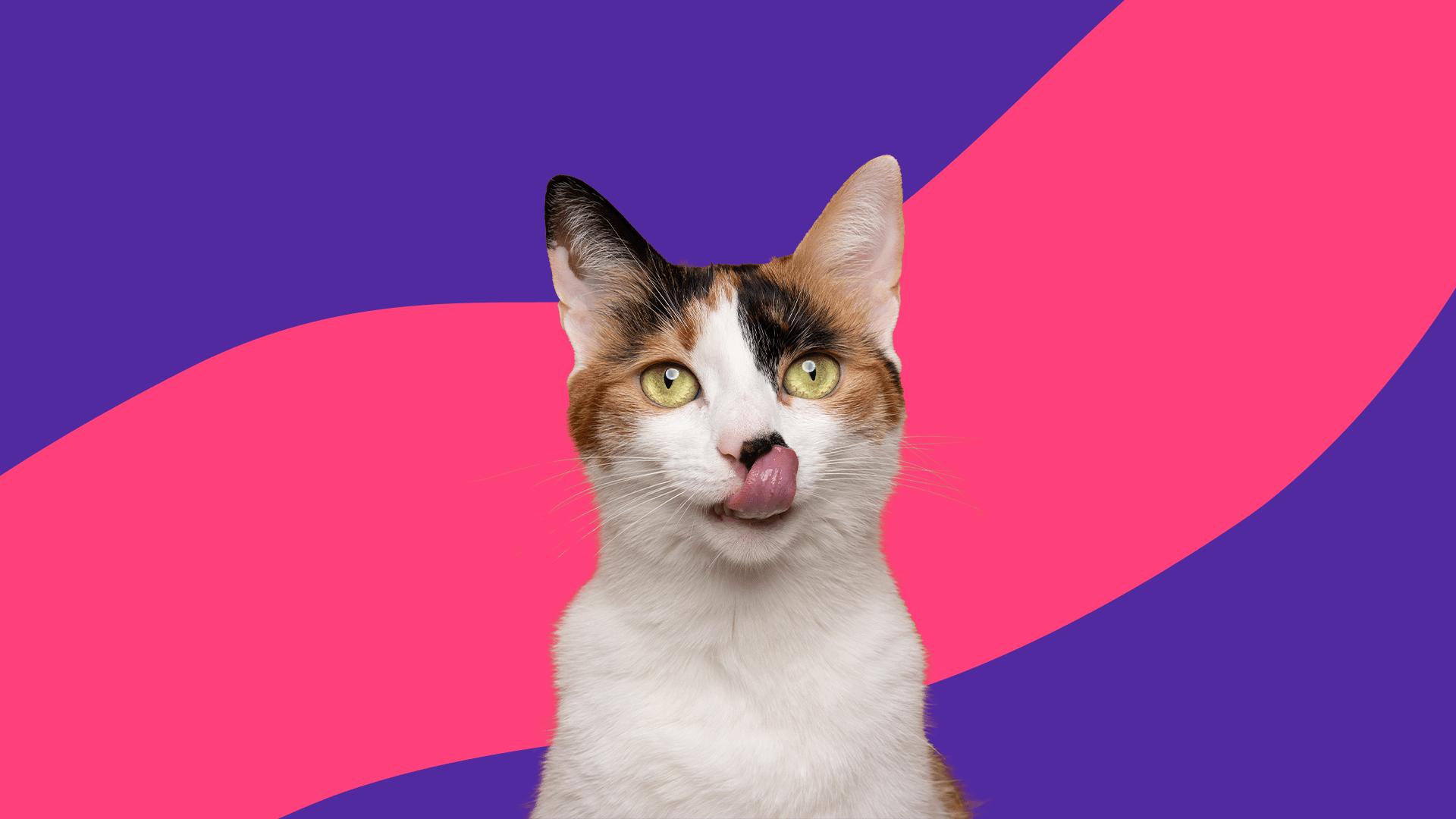 Fluoxetine for Cats Dosage Chart by Weight: Essential Guide