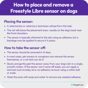 Instruction on How to place/remove a Freestyle Libre sensor on a dog