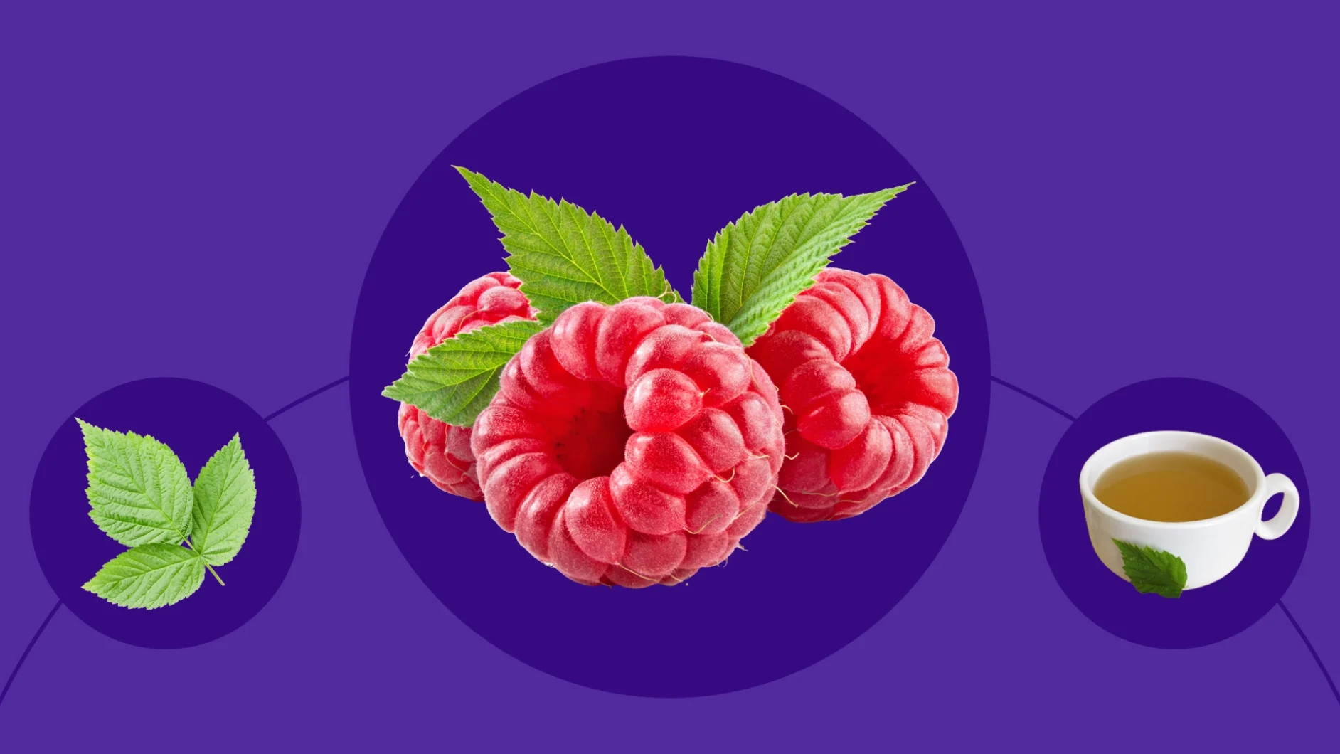 Image of raspberries next to a cup of tea - raspberry leaf tea benefits